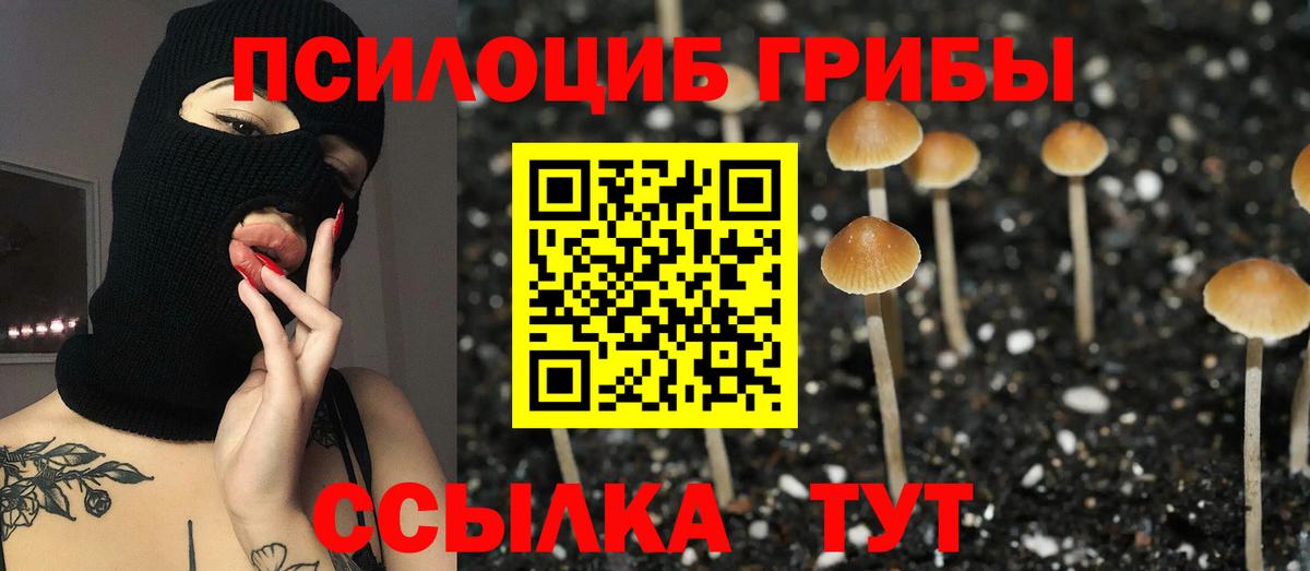 Псилоцибиновые грибы Psilocybe  Вход с VPN  Псилоцибиновые грибы мицелий  Новый Уренгой 