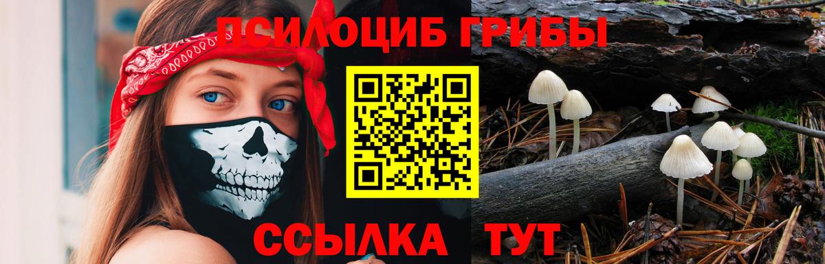 Галлюциногенные грибы мицелий Новый Уренгой
